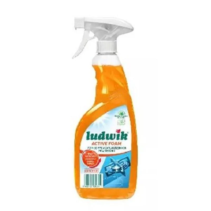 Ludwik Specjalista płyn do mycia zatłuszczonych powierzchni Active Foam Exotic Fructis pompka 600ml