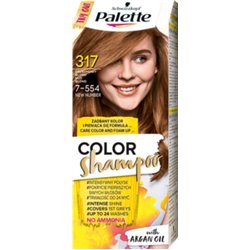 Palette Color Shampoo Szampon koloryzujący Orzechowy Blond 317