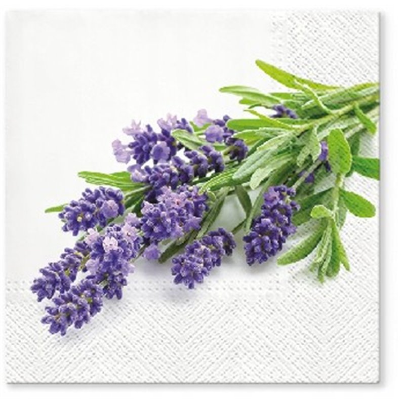 PAW serwetki lavender bunch TL702200