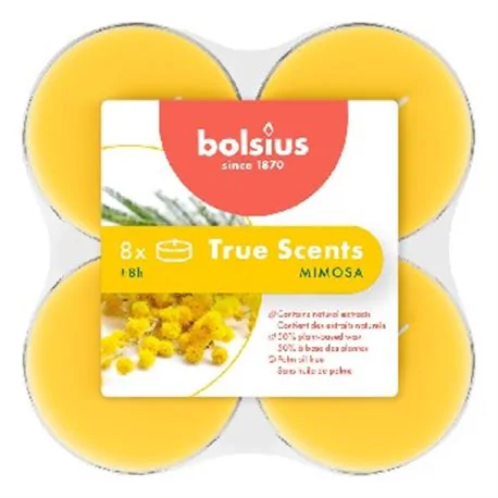 Bolsius podgrzewacze zapachowe Maxi True Scents Mimosa 8h 8szt.