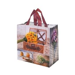 Fraspo Torba z PP 24l piknik relax