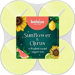 Bolsius podgrzewacze zapachowe maxi Sunflower & Citrus 8h 8 szt