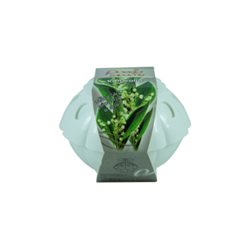 Poezja odświeżacz powietrza w żelu UFO konwalia 150g