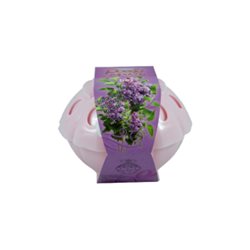 Poezja odświeżacz powietrza w żelu UFO bez 150g