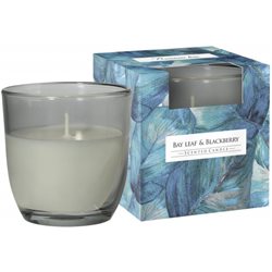 Bispol świeca zapachowa w szkle Liść Laurowy i Jeżyna SN75B-325