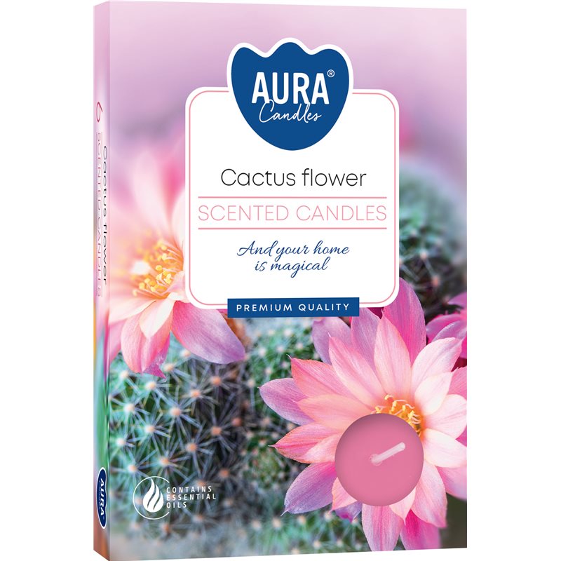 Bispol podgrzewacze zapachowe P15-312 KWIAT KAKTUSA 6szt Bispol podgrzewacze zapachowe P15-312 KWIAT KAKTUSA 6szt