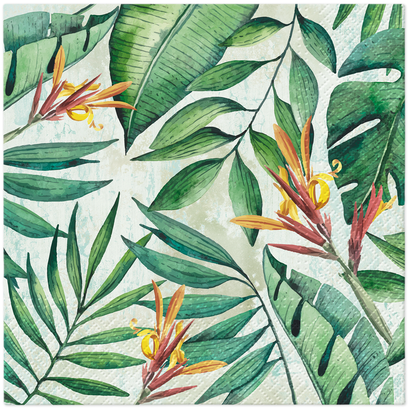 PAW serwetki TaT tropical garden TL705800 20 sztuk PAW serwetki TaT tropical garden TL705800 20 sztuk
