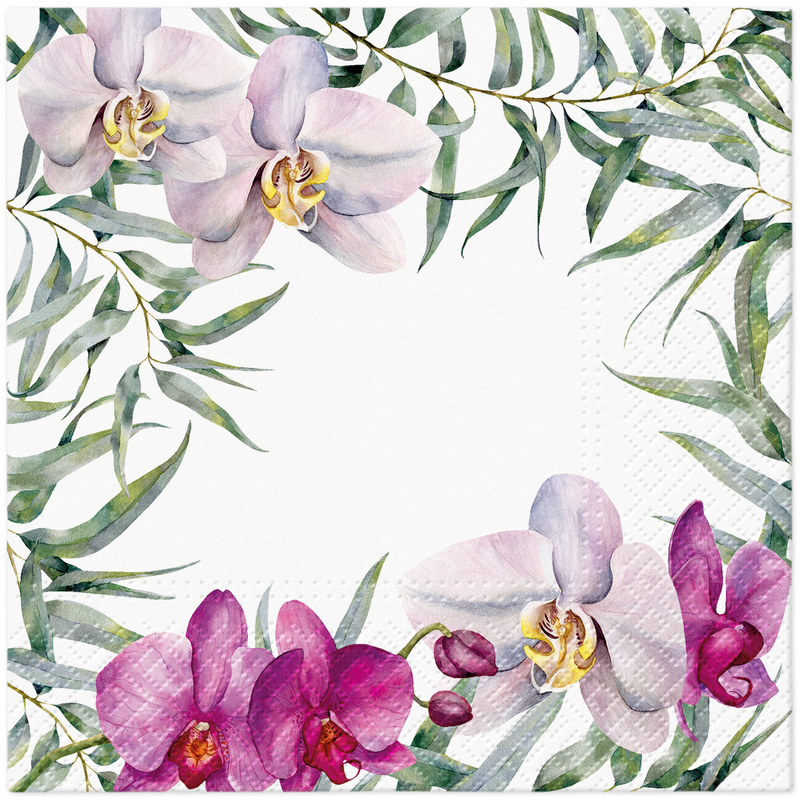 PAW serwetki TaT Elegant Orchid 33x33 cm TL704100