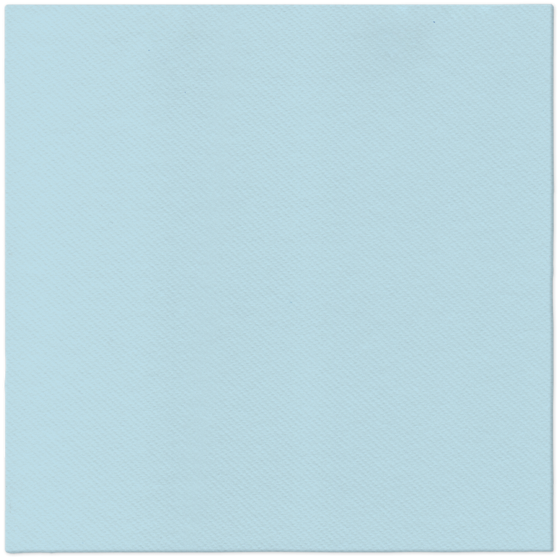 PAW serwetki Airlaid monocolor light blue AAN009105 40 cm x 40 cm PAW serwetki Airlaid monocolor light blue AAN009105 40 cm x 40 cm