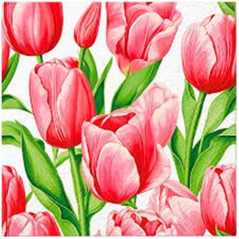 Paw serwetki wielkanocne z motywem czerwonych tulipanów 20 sztuk 33x33 cm