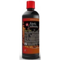 Podpałka  w płynie  (parafinowa)    1L Czechowice