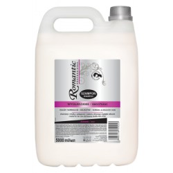 Romantic Szampon do włosów wygładzanie z jedwabiem 5000 ml