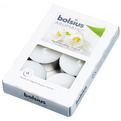 Bolsius podgrzewacz zapachowy 6szt lily