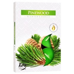 Podgrzewacze zapachowe Bispol  6 sztuk P15-82 SOSNA