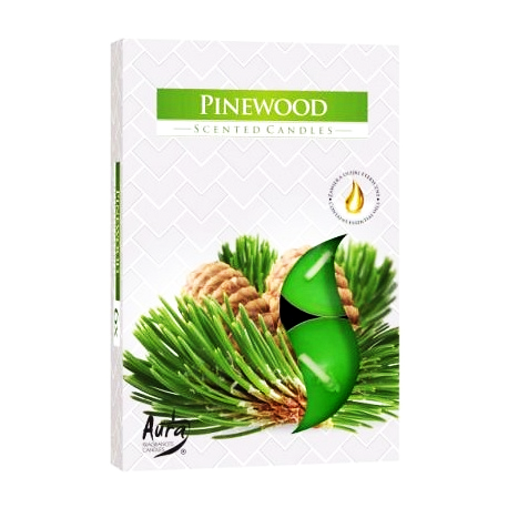 Podgrzewacze zapachowe Bispol  6 sztuk P15-82 SOSNA