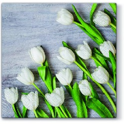 Serwetki Paw White Tulipan SDL120109
