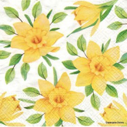 Serwetki PAW DAFFODILS IN BLOOM SDL121700