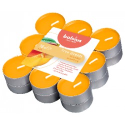 Bolsius podgrzewacze zapachowe 4h 18szt. True Scents Mango