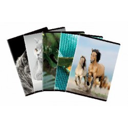 Zeszyt A5 32 kartki czysty