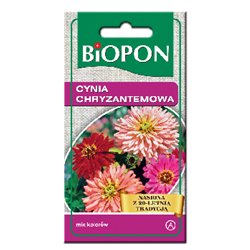Biopon nasiona cynia wytworna chryzantemowa mieszanka 1g