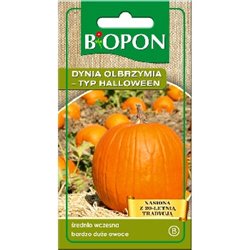 Biopon nasiona dynia olbrzymia, typ Halloween 3g