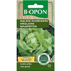 Biopon nasiona sałata głowiasta królowa majowych tor 1g