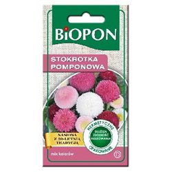 Biopon nasiona stokrotka pomponowa mieszanka 0,1g