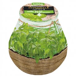Bolsius świeca Citronella Garden with Basil 94/91