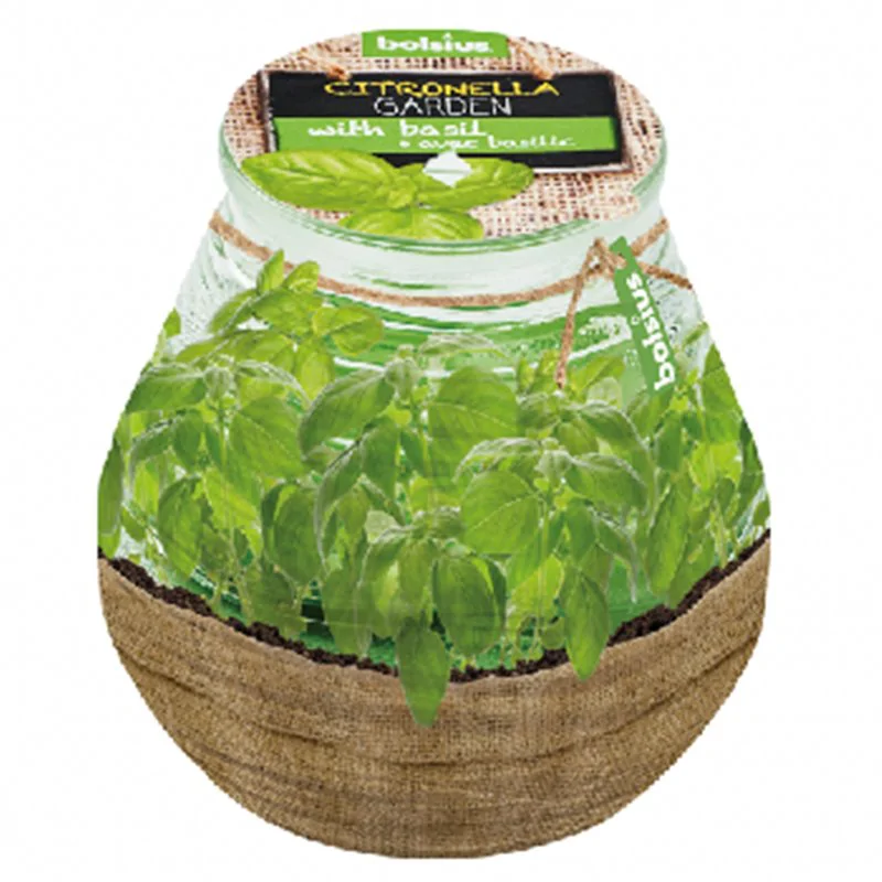 Bolsius świeca Citronella Garden with Basil 94/91