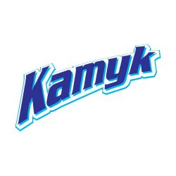 Kamyk