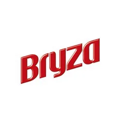 Bryza